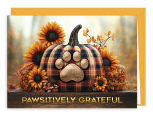 GIVEPAWG
