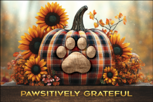 GIVEPAW