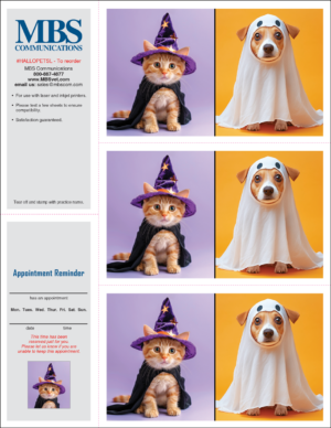 reminder postcards for veterinarians
