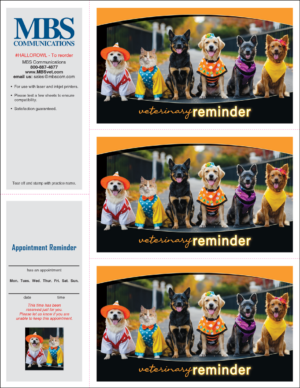 reminder postcards for veterinarians