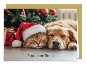 PEACEFULG