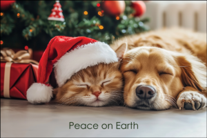 PEACEFUL