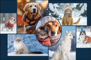 WINTERBLEND