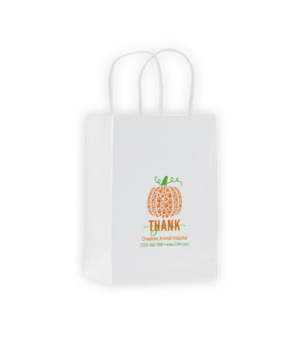 XSCOLORTOTE229