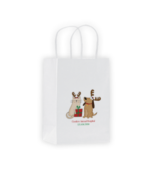 XSCOLORTOTE239