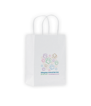 XSCOLORTOTE241