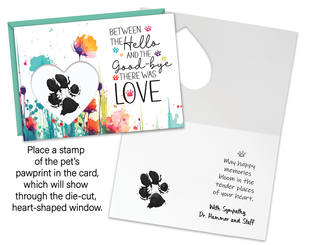 DCSYM14 - Secondary Image