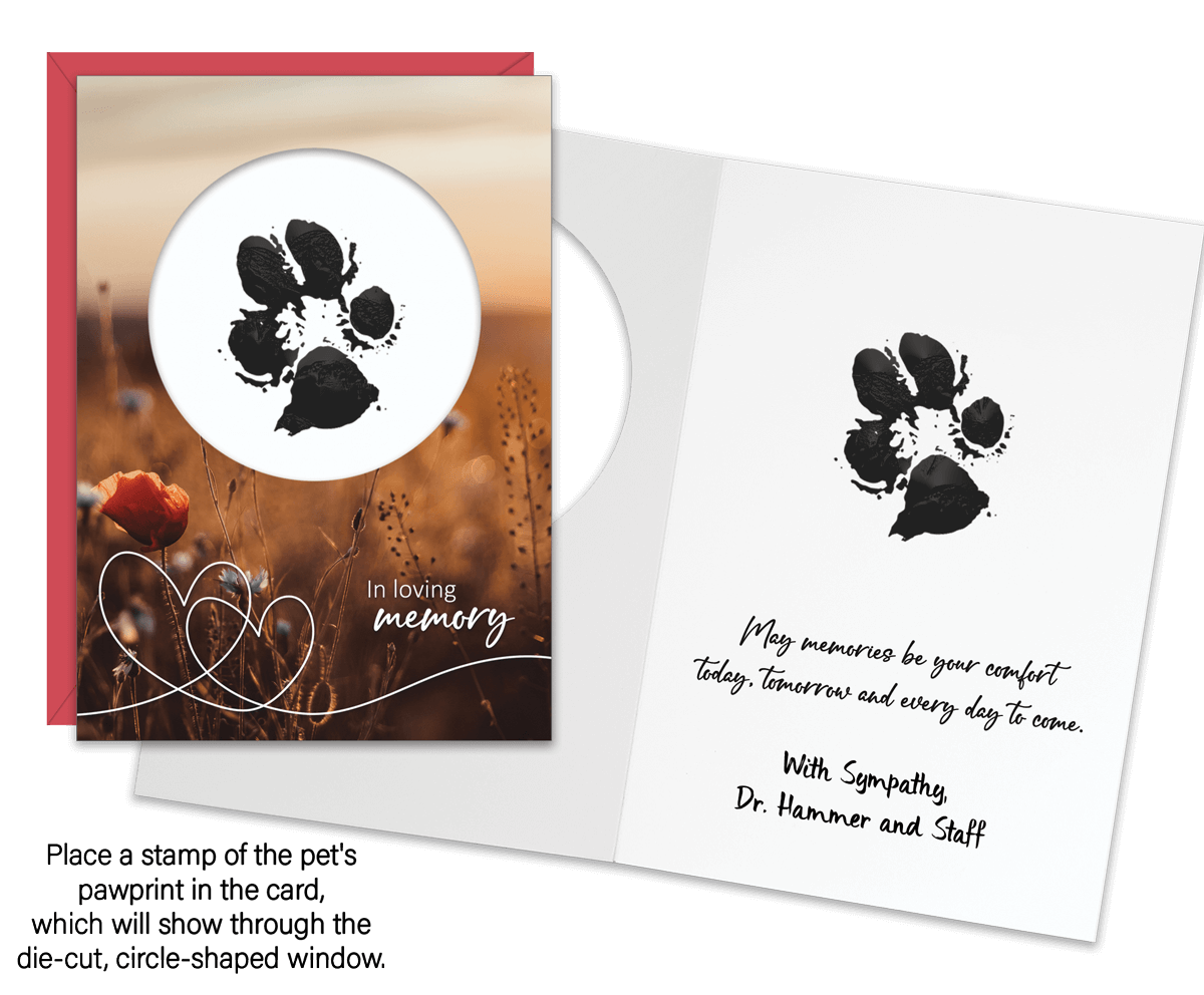 DCSYM15 - Secondary Image