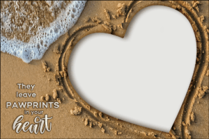 Pawprint Stamp Card for Veterinarians