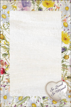 Pawprint Stamp Card for Veterinarians