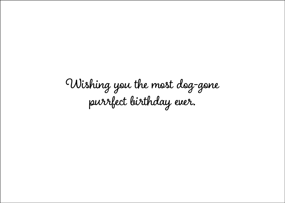 BDAYLITTLEG - Secondary Image