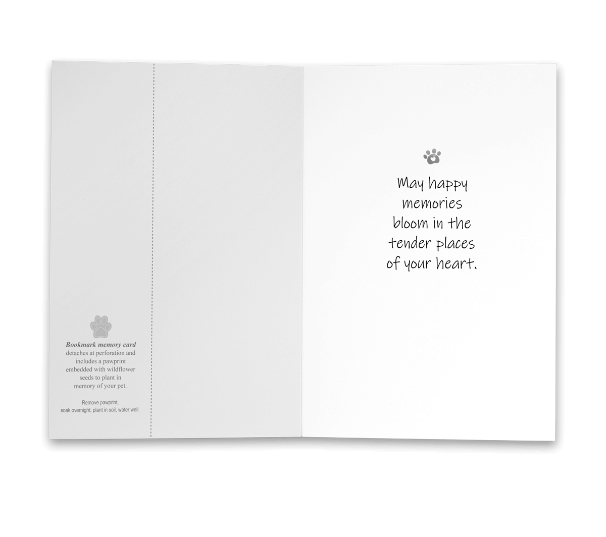 PBSYM1 - Secondary Image