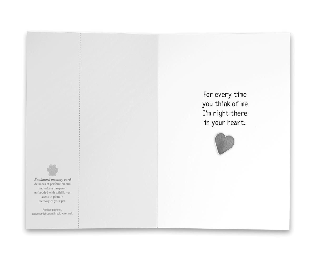 PBSYM2 - Secondary Image