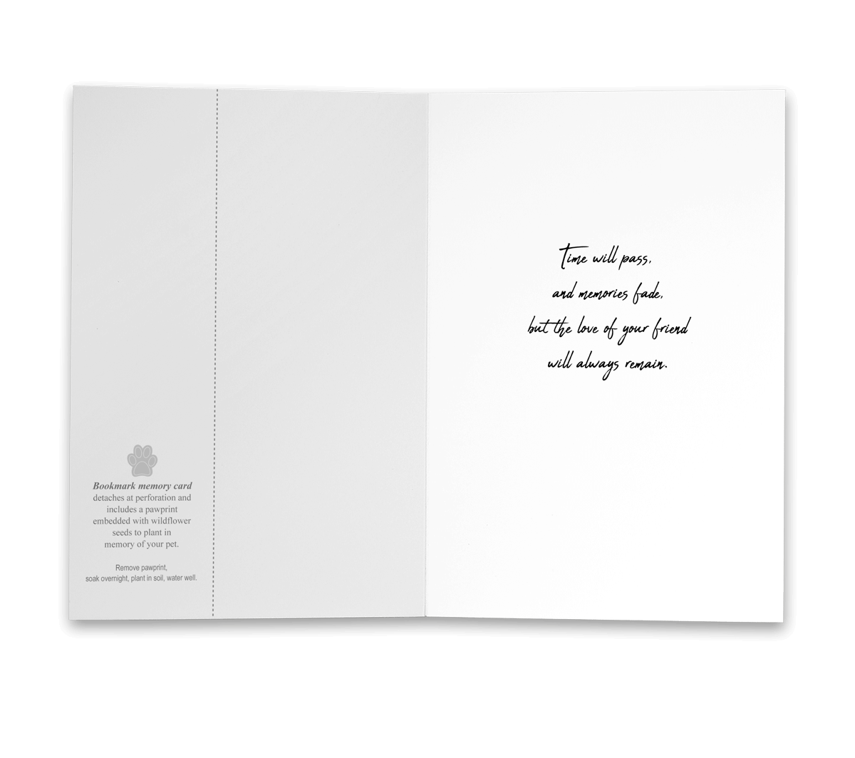 PBSYM3 - Secondary Image