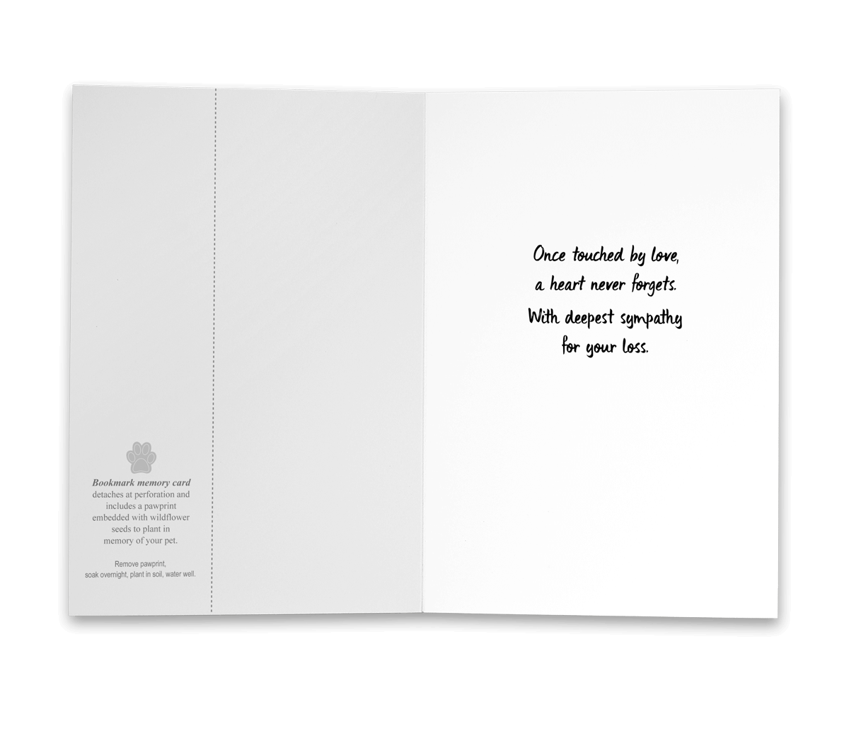 PBSYM4 - Secondary Image