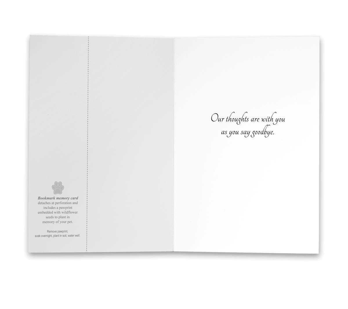 PBSYM6 - Secondary Image