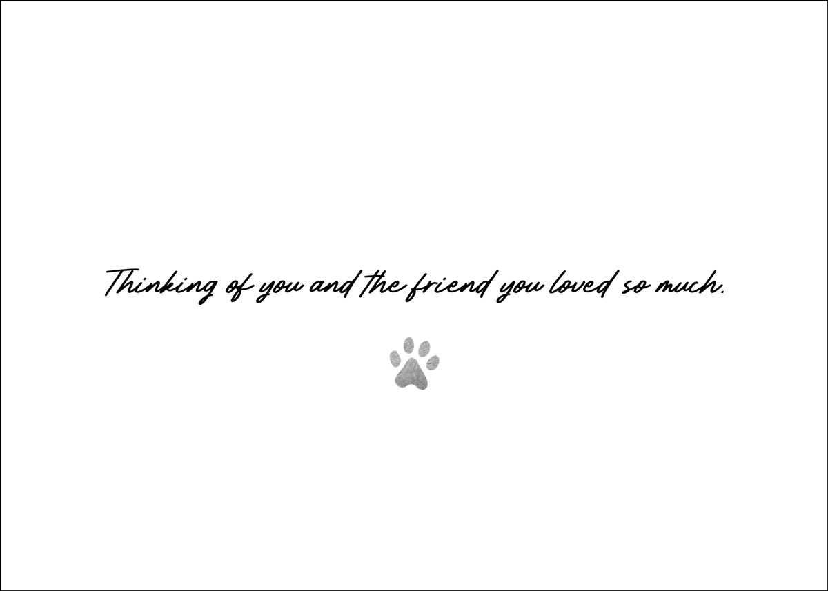 SDOG45 - Secondary Image