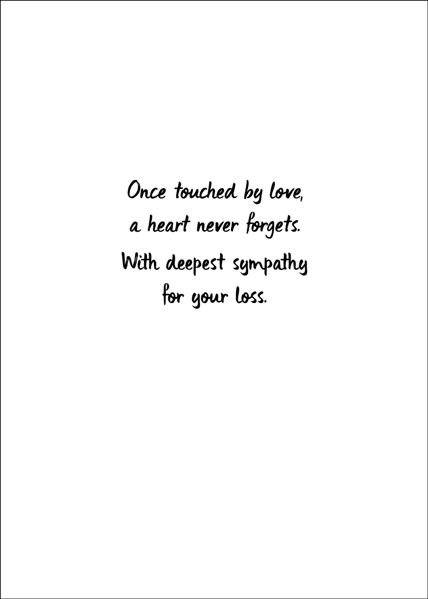 SYM65 - Secondary Image