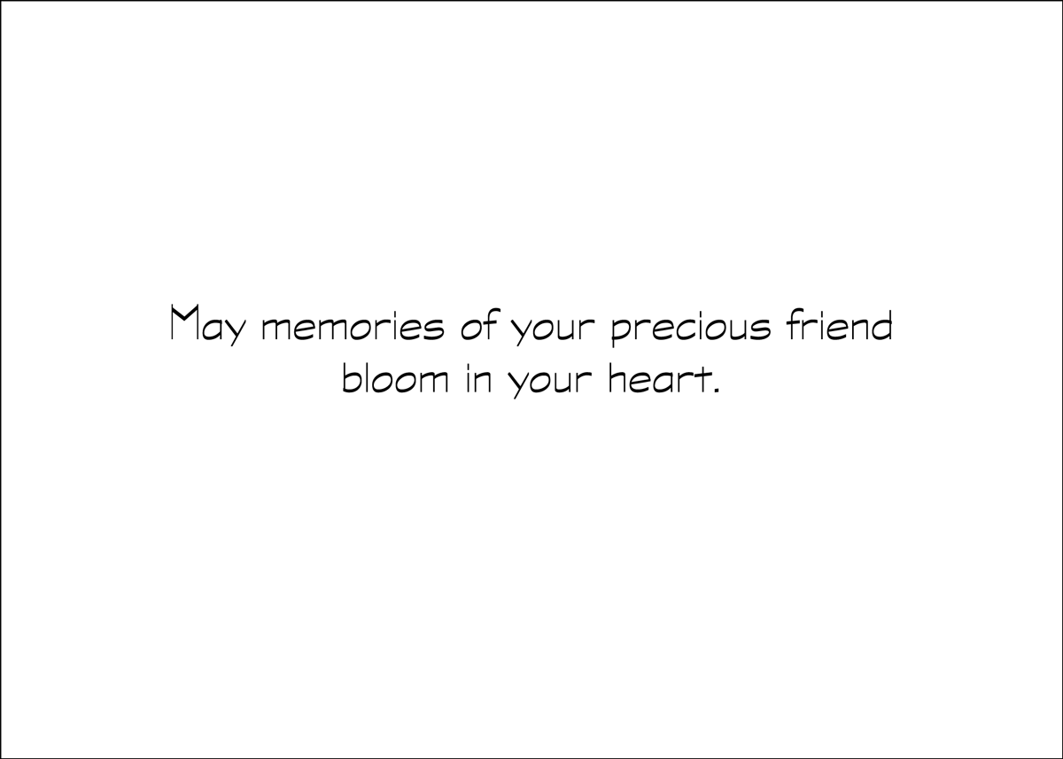 SYMCAT46 - Secondary Image