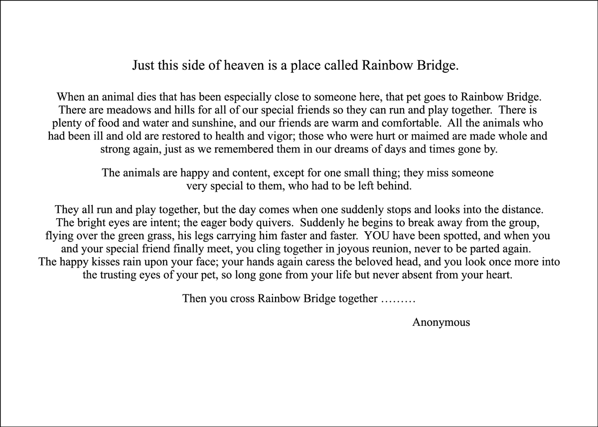 SYMJUST - Secondary Image